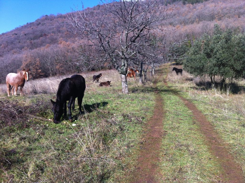 Agriturismo Villa Gabbiano Capodacqua  المظهر الخارجي الصورة